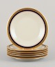 item no:
558130 item no:
558130