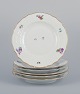 item no:
566090 item no:
566090