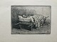emne nr:
566906