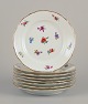 item no:
570261 item no:
570261