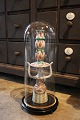 K&Co. presents: 
Decorative, 
old 
cylinder-shaped 
French glass 
Dome / Globe on 
a black wooden 
base for ...