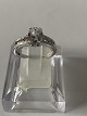 8 carat white gold ladies