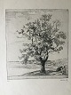 emne nr:
586000