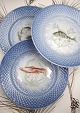 K&Co. 
præsenterer: 
Bing & 
Grøndahl Blå 
Tone 
fisketallerkner 
i hotelporcelæn 
/ jernporcelæn.
Dia.: 
24,5cm...