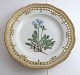 Royal Copenhagen. Flora Danica tallerken med gennemskåret bort. Diameter 25 cm. 
Model 3553. ( 1 sortering ). Polemonium humile Willd