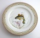Royal Copenhagen. Fauna Danica. Fish Plate. Dinner plate. Model # 19 - 3549. 
Diameter 25 cm. (1 quality). Gobius niger