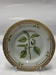 Flora Danica Cake plate 17 cm. #3551 "Elsholtzia cristata Wiild.".