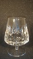 latest
new item latest
new item