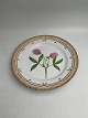 Danam Antik presents: Royal Copenhagen Flora Danica Lunch Plate No. 20/3550