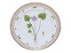 Antik K presents: Flora DanicaLuncheon plate 22 cm. #3550