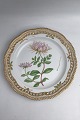 Danam Antik presents: Royal Copenhagen Flora Danica Plate with pierced border No. 20/3526.
