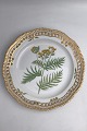 Danam Antik presents: Royal Copenhagen Flora Danica Plate with pierced border No. 20/3526.