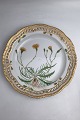 Danam Antik presents: Royal Copenhagen Flora Danica Plate with pierced border No. 20/3526.