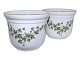Bing & Grondahl Green IvyFlower pot