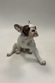 Danam Antik presents: Bing and Grondahl Figurine French Bulldog No. 2000