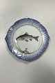 Danam Antik presents: Royal Copenhagen Blue Fish Set Plate No. 19/3002