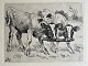 Radering af Johannes Resen-Steenstrup - To kalve 1903.
