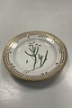 Danam Antik presents: Royal Copenhagen Flora Danica Salad Plate No. 20/3573