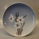 Klosterkælderen presents: 0029-1125 Plate 25.5 cm White Flowers Royal Copenhagen