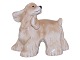 Antik K presents: Royal Copenhagen figurineAmerican Cocker Spaniel