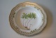 Flora Danica Soup plateDia. 24,5 cm.SOLD