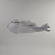 sub: 7