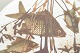 sub: 2