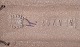 sub: 7