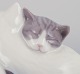 sub: 2