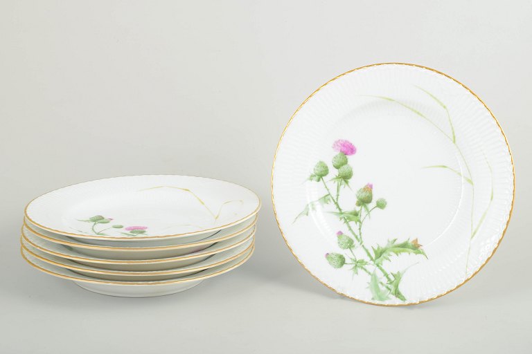 Royal Copenhagen  Thistle, set of six dinner plates.
